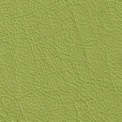 Madras verde prat 8723